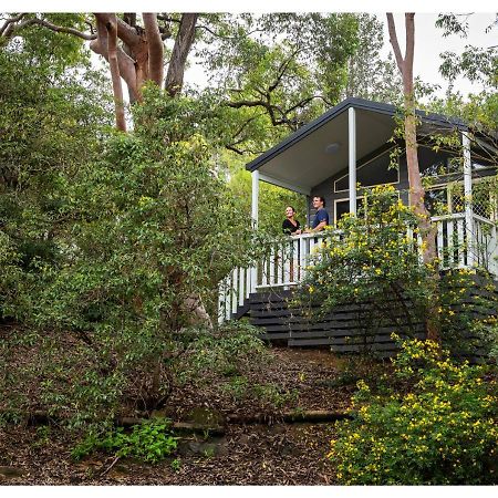 Discovery Parks - Lane Cove Sydney Exterior foto