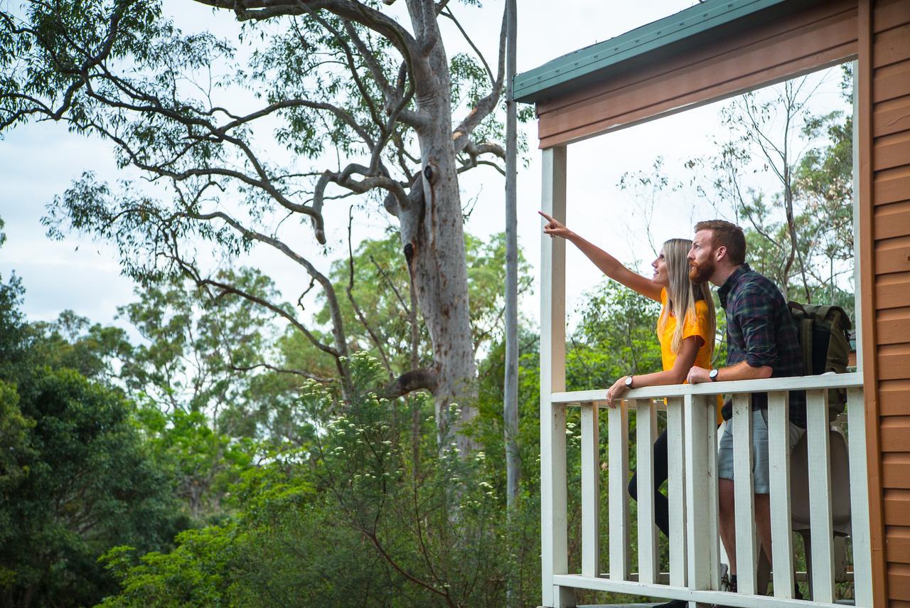 Discovery Parks - Lane Cove Sydney Exterior foto